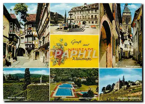 Cartes postales moderne Gruss aus Neustadt an der Weinstrasse