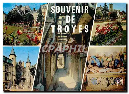 Cartes postales moderne Souvenir de Troyes