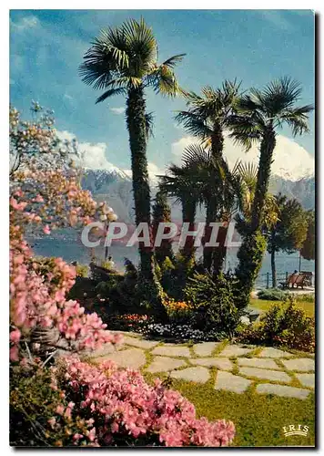 Cartes postales moderne Locarno Lago Maggiore