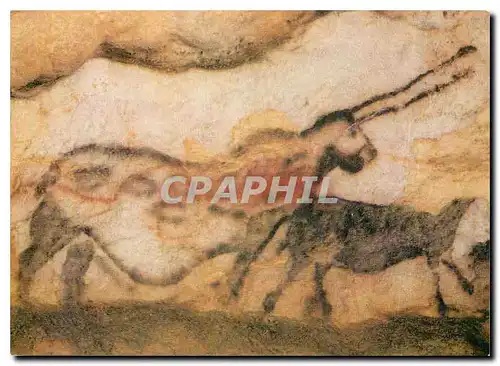 Cartes postales moderne Einhorn und braunes Pferd Lascaux Frankreich