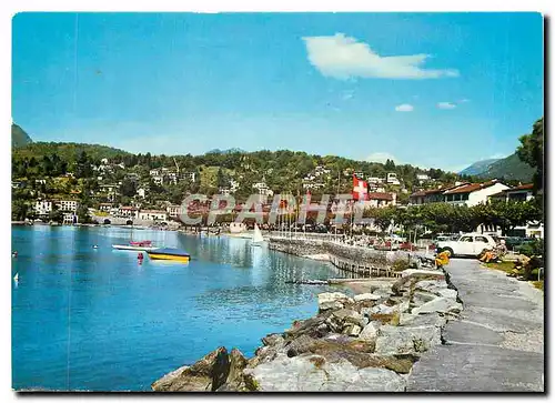 Cartes postales moderne Ascona - Lago Maggiore - Cantone Ticino Panorama