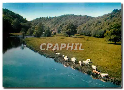 Cartes postales moderne Paturages sur les bords de la Creuse