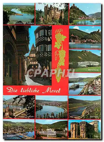 Cartes postales moderne Die liebliche Mosel