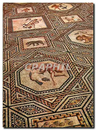 Cartes postales moderne Koeln am Rhein Roemisch-Germanisches Museum Dionysos-Mosaik beim Dom