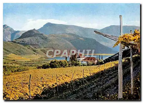 Cartes postales moderne Lago di Caldaro - Ruderi Leuchtenburg e Castello Ringberg (Museo del vino)