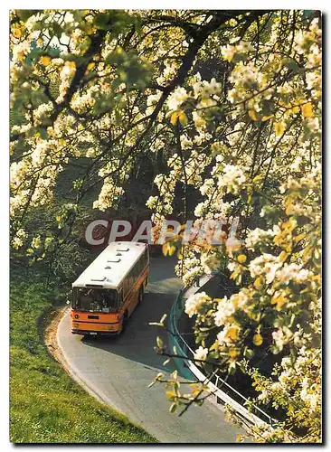 Cartes postales moderne Schweizerbergen FBW 40 VH R OM 401 A