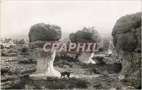 Cartes postales The PROVENCE FORCALQUIER(e.a).Rohes des Mourres