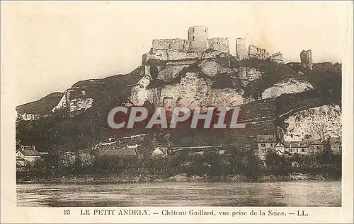 Cartes postales Le Petit Andely Chateau Gaillard vue prise de la Seine