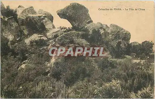 Cartes postales Calanches de Piana La Tete de Chien