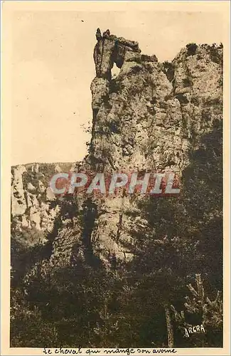 Cartes postales Gorges du Tarn Le cheval qui mange son avoine