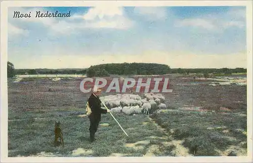 Cartes postales Mooi Nederland