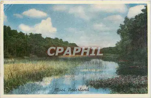 Cartes postales Mooi Nederland