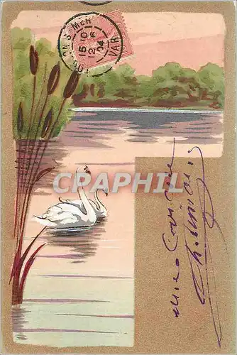 Cartes postales Cygne