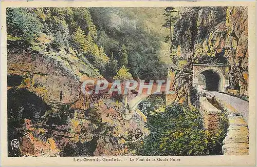 Cartes postales Les Grands Goulets Le Pont de la Goule Noire