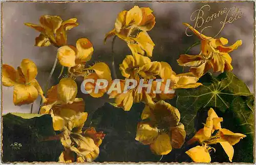 Cartes postales Bonne F�te