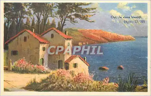 Cartes postales VOEUX