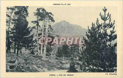 Cartes postales Corse Col de Vergio