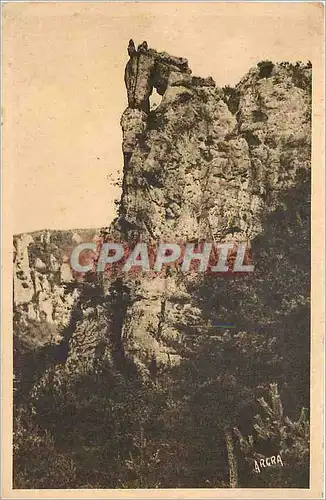 Cartes postales Gorges du Tarn Le cheval mange son avoine