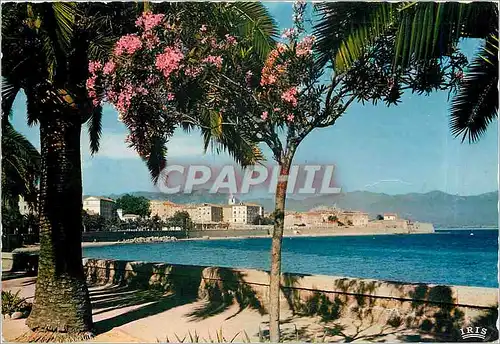 Cartes postales moderne Ajaccio - Vue prise du Boulevard Lantivy