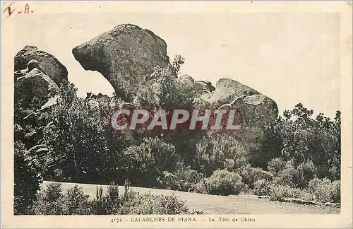 Cartes postales Calanches de Piana - La tete de Chien