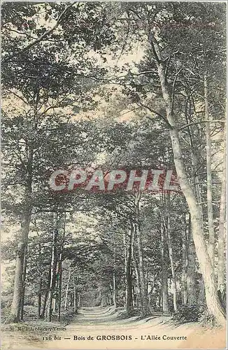 Cartes postales Bois de Grosbois - l'allee couverte