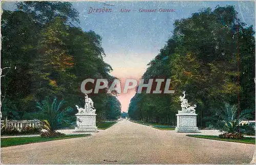 Cartes postales Dresden Ailee Grosser Garten