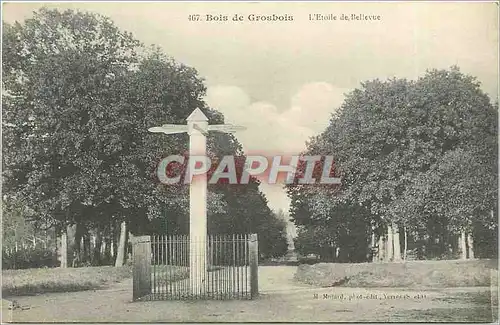 Cartes postales Bois de Gross bois-L'Etoile de bellevue