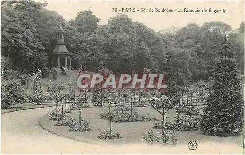 Cartes postales Paris Bois de Boulogne La Roseraie de Bagatelle