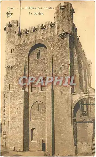 Cartes postales Gand le Chateau de comptes