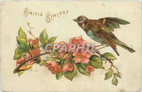 Cartes postales Amitie Sincere Fleurs Oiseau