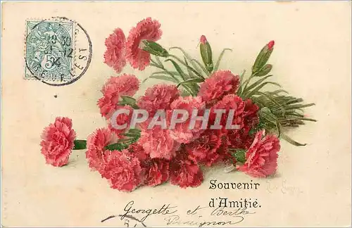 Cartes postales Souvenir d'Amitie Fleurs