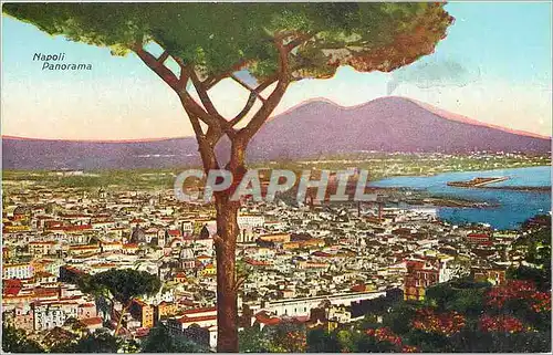 Cartes postales Napoli Panorama