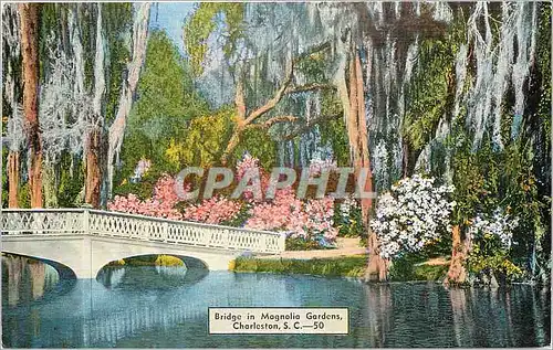 Cartes postales Bridge in Magnolia Gardens Charleston SC