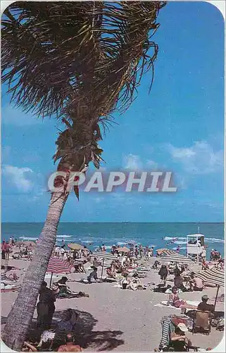 Cartes postales Bathing and Sun Tanning at beautiful Miami Beach Florida