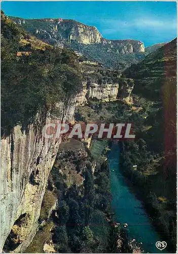 Cartes postales moderne En parcourant les Gorges de la Jonte Lozere