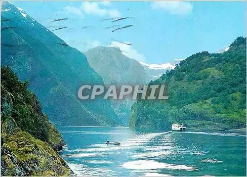 Cartes postales moderne Norway The Naeroy Fjord