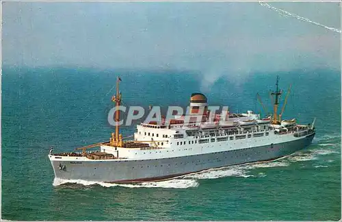 Cartes postales moderne Bateau Holland American Line SS Maasam