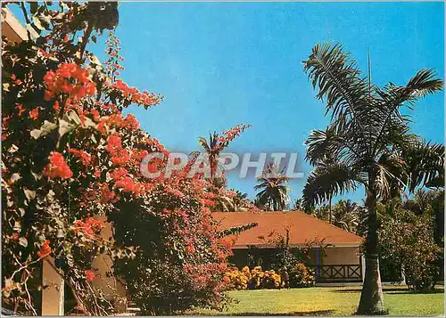 Cartes postales moderne Mediterannee Les Boucaniers Martinique