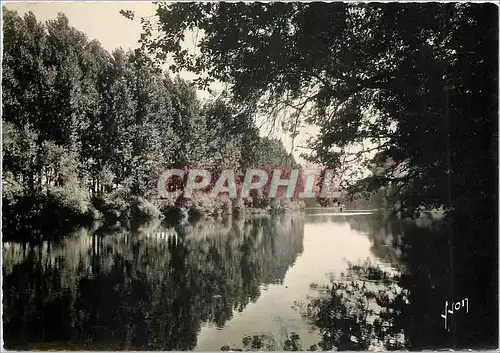 Cartes postales moderne La Dordogne Pittoresque les Bords de la Vezere