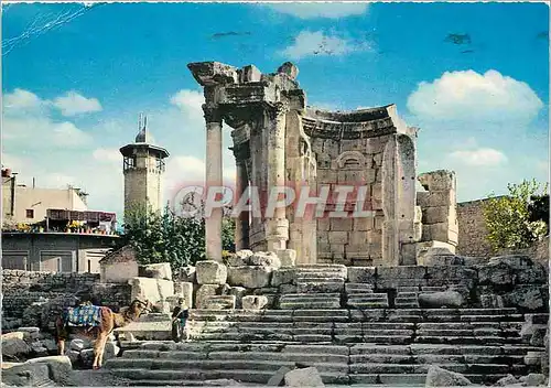 Cartes postales moderne Liban Baabeck Temple de Venne