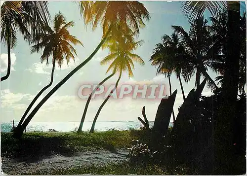 Cartes postales moderne Nouvelle Caledonie Paysage D'Ouvea