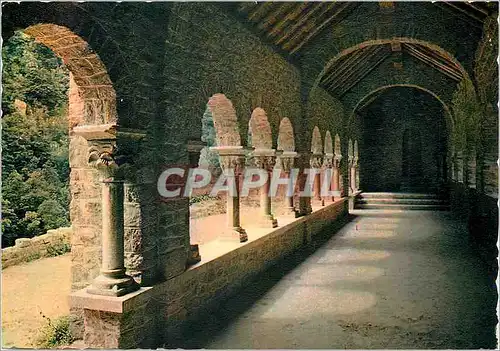 Cartes postales moderne Saint Martin du Canigou (environs de Vernet les Bains) Le cloitre de l'Abbaye