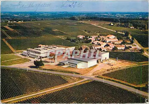 Cartes postales moderne Les Producteurs Reunis de Puisseguin Saint Emillion et Lussac Saint Emilion