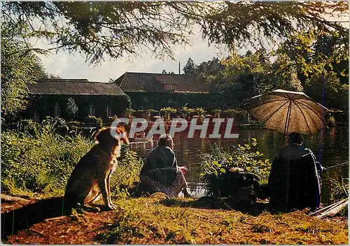 Cartes postales moderne Bagnoles de l'Orne (environs) La vallee de la cour Chien