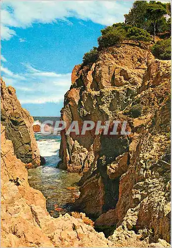 Cartes postales moderne Costa Brava Acantilados de Algue Xelide