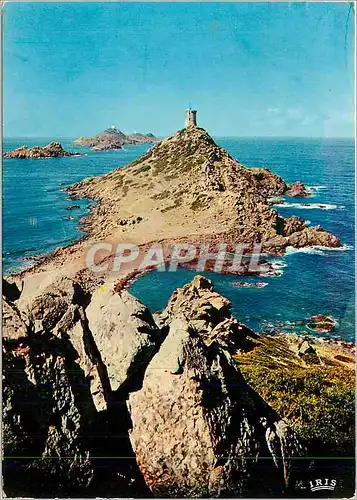Cartes postales moderne Charmes et Couleurs de la Corse Ajaccio La Tour de la Parata et les  Iles Sanquinaires