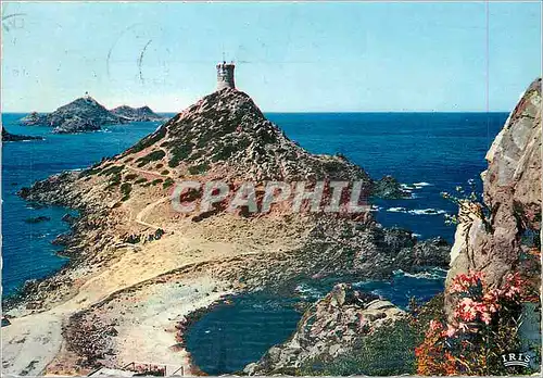 Cartes postales moderne Les Sanguina Res sentinelles du Golfes d'Ajaccio vous rendent les honneurs au passage du bateau