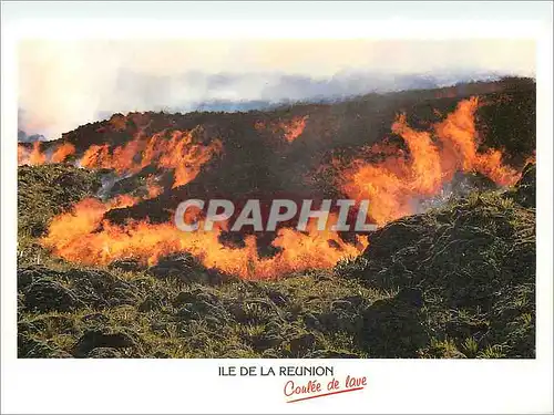 Cartes postales moderne Ile de la Reunion France Ocean Indien