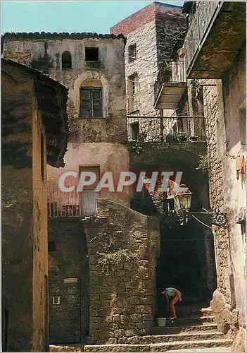 Cartes postales moderne Corse Ile de Beaute Sartene La plus Corse des Villes Corses