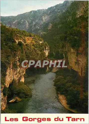 Cartes postales moderne Les Gorges du Tarn Les Detroits